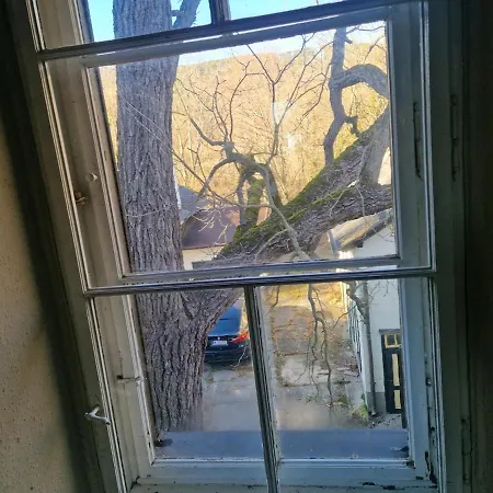 Estate, The Schneebergbahn * Winzendorf