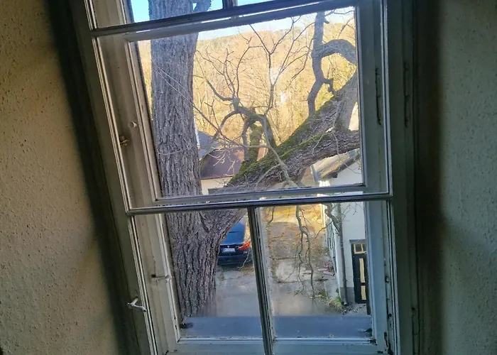 Estate, The Schneebergbahn * Winzendorf